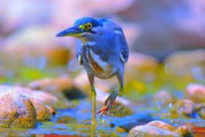 被狗咬伤生殖器！每体：巴萨旧将佩雷斯软组织感染，缝针后已出院