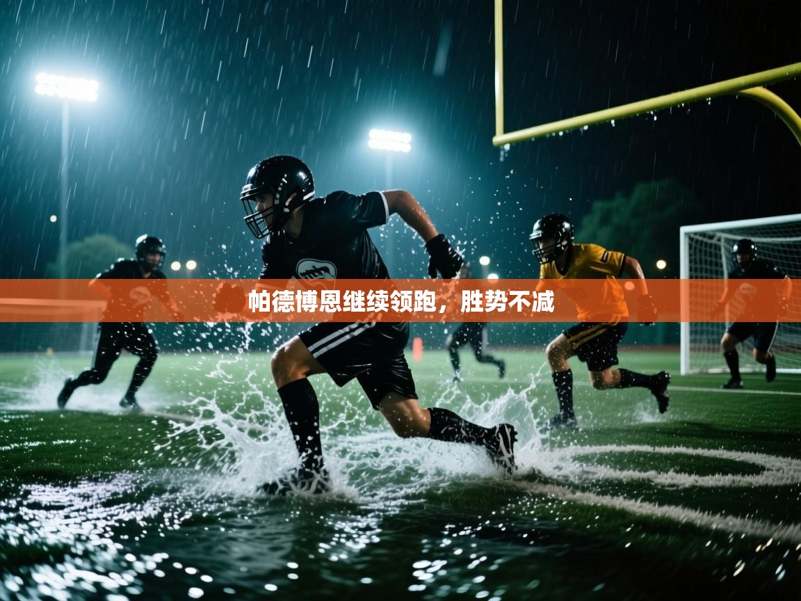 帕德博恩继续领跑，胜势不减  第2张