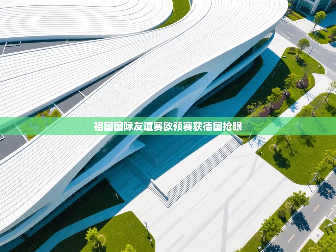祖国国际友谊赛欧预赛获德国抢眼  第1张