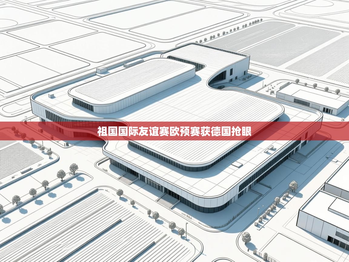 祖国国际友谊赛欧预赛获德国抢眼  第2张