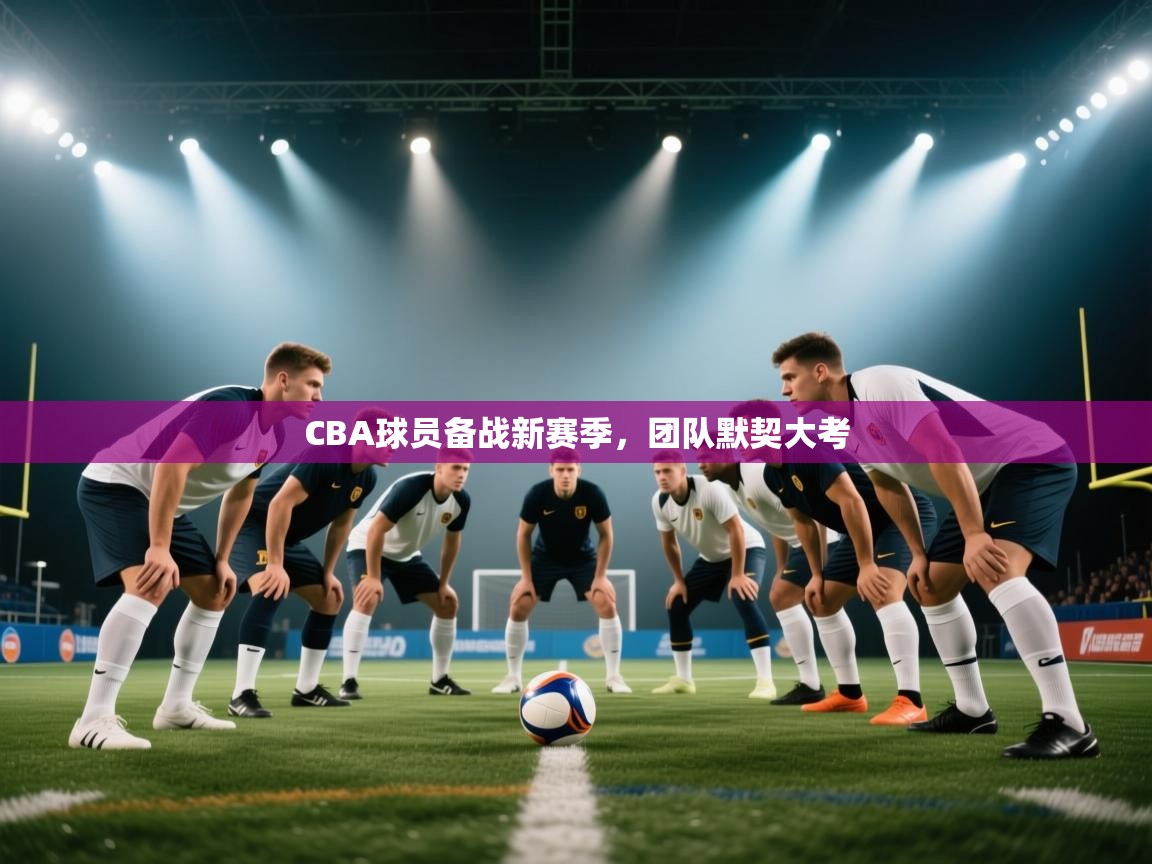 CBA球员备战新赛季,团队默契大考 第2张